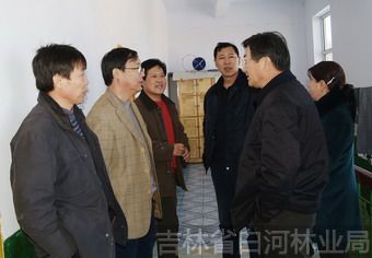 党委书记宋友（右二）与副书记林子平（左二）在察看光明林场的旅游基础设施情况