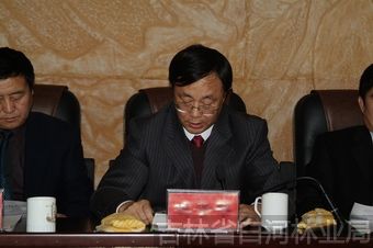 党委副书记、纪委书记林子平讲话